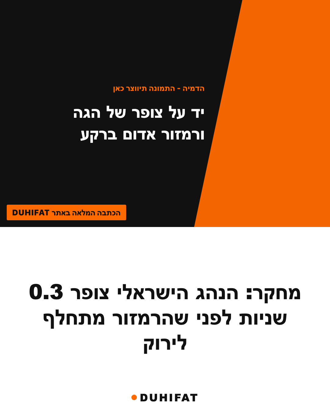 מחקר: הנהג הישראלי צופר 0.3 שניות לפני שהרמזור מתחלף לירוק